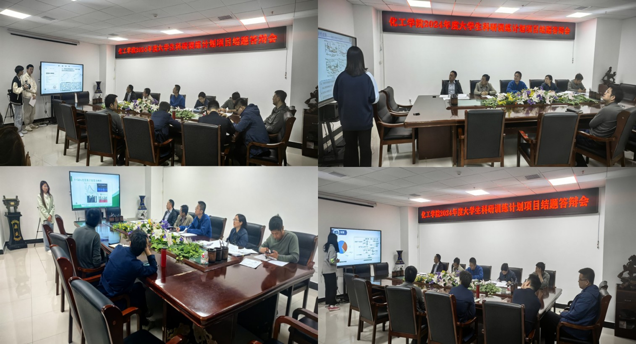 成人直播
组织召开2024年度大学生科研训练计划（SRT）项目结题答辩会